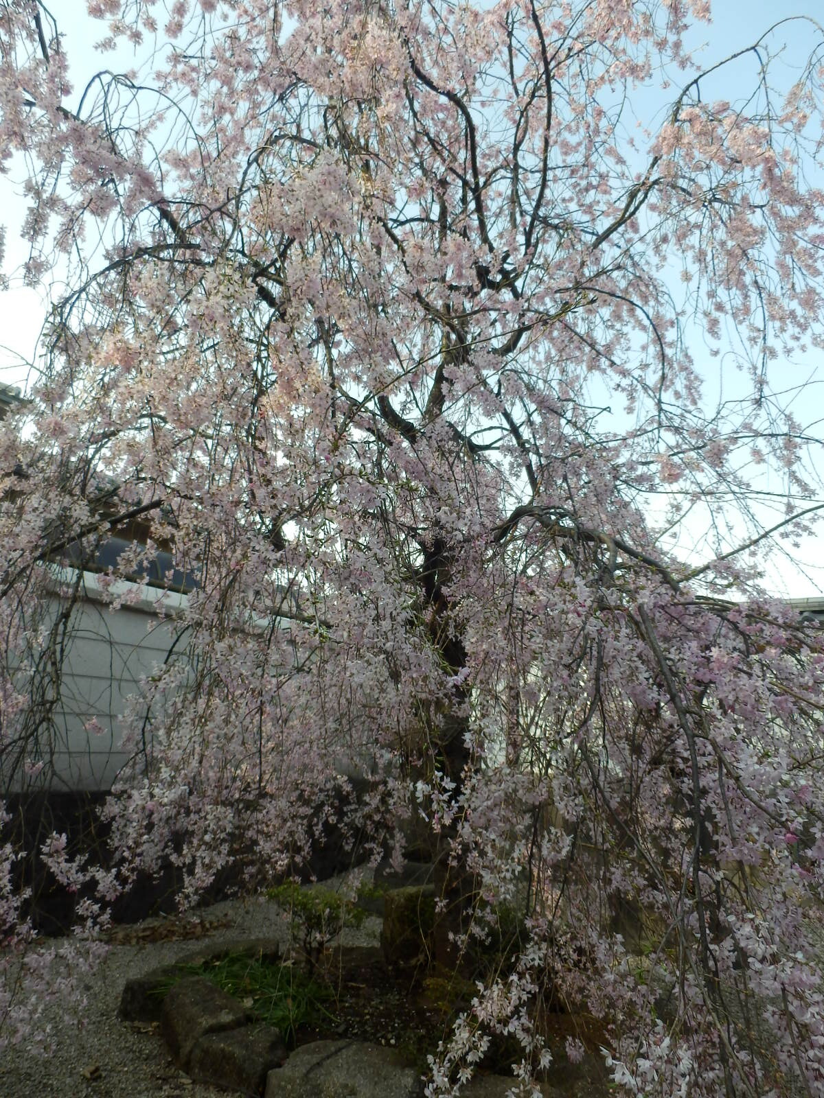 P3310031