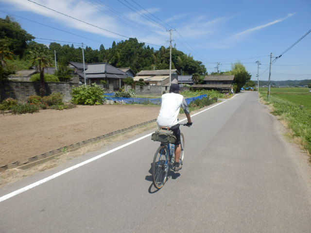 イメージ 7
