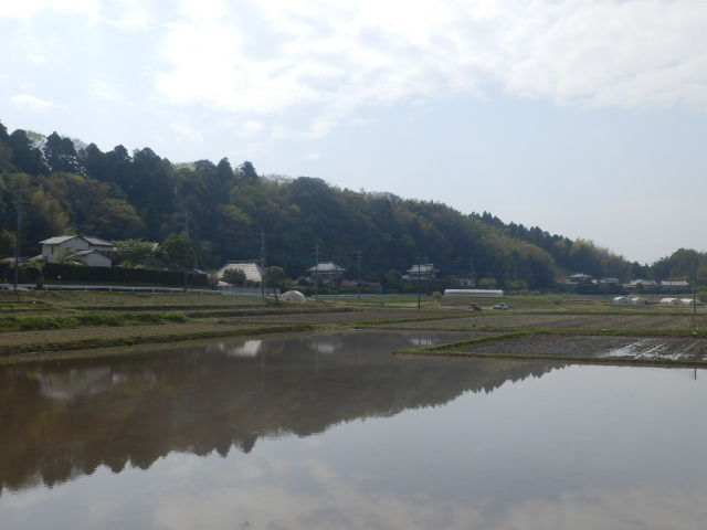イメージ 14