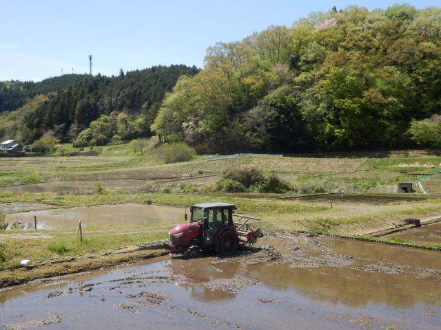 イメージ 28