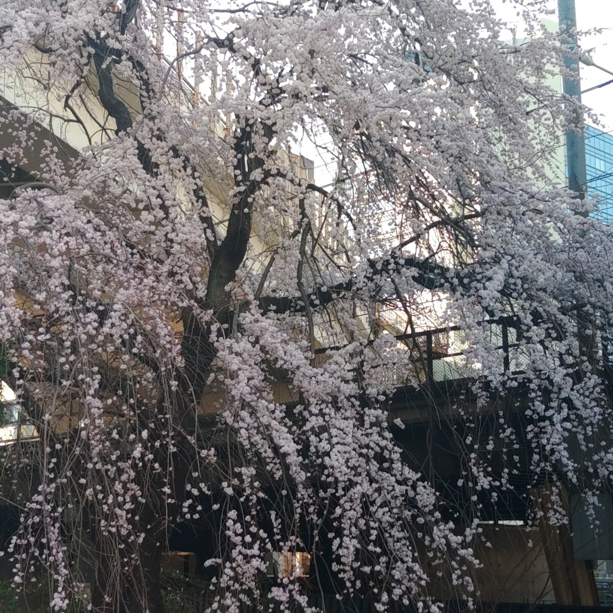 KIMG6850_02_BURST1006850