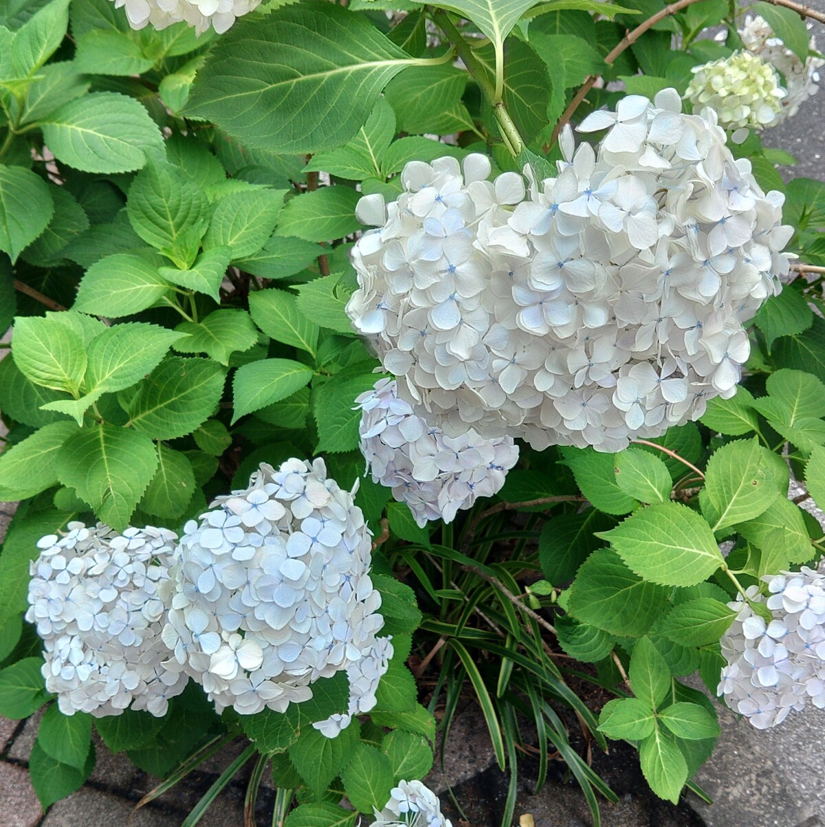 KIMG5792