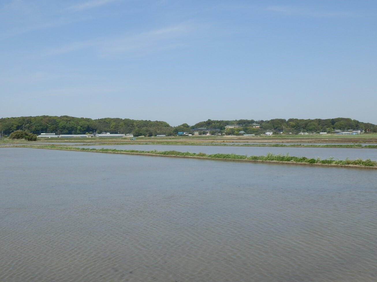 P4270034