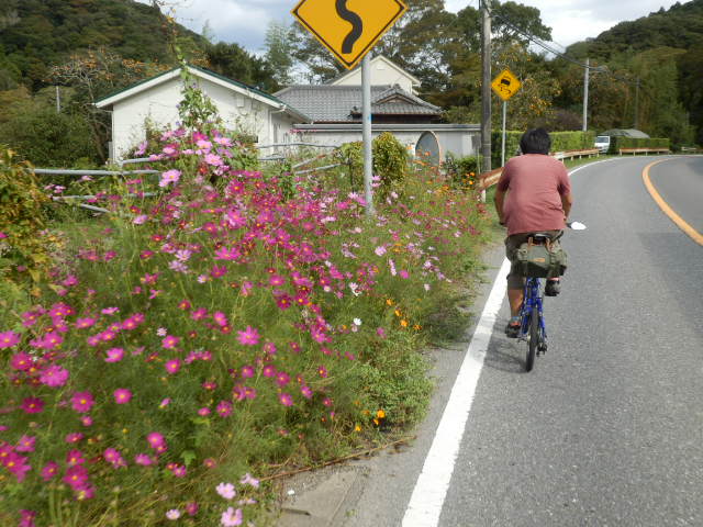 イメージ 13