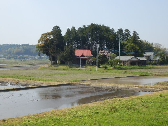 イメージ 15