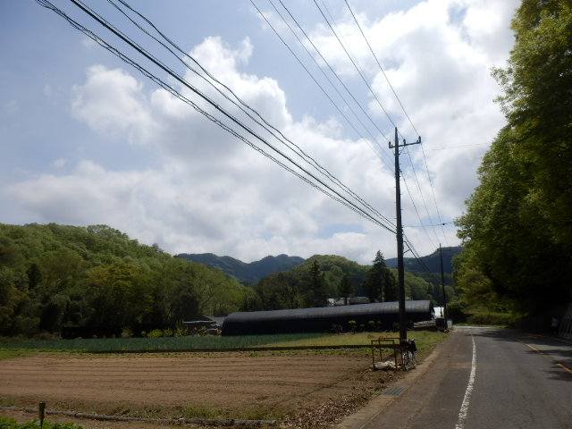 イメージ 11
