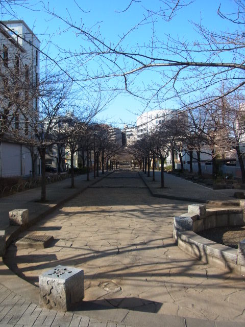 イメージ 18