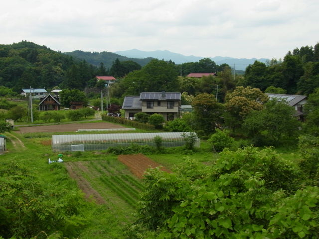 イメージ 22