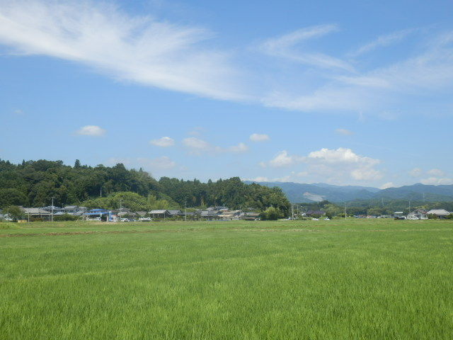 イメージ 6