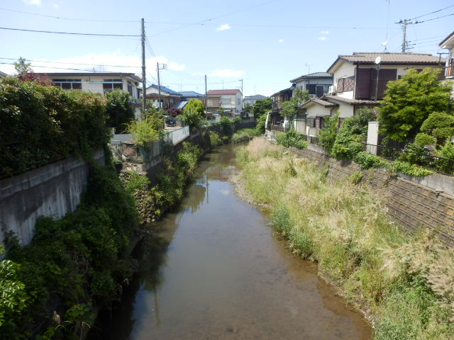 イメージ 38