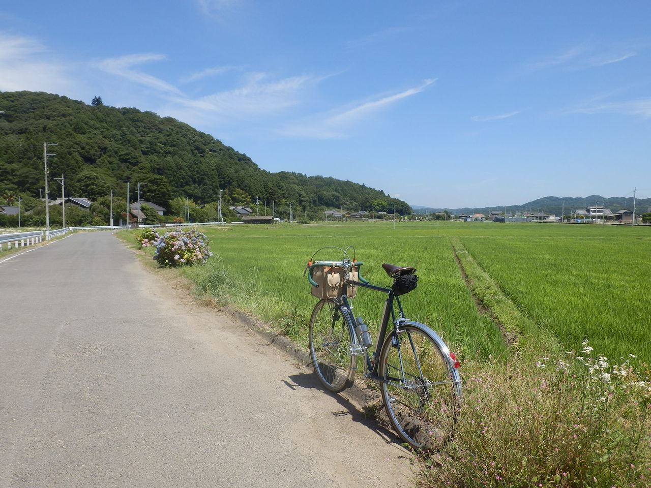 イメージ 3