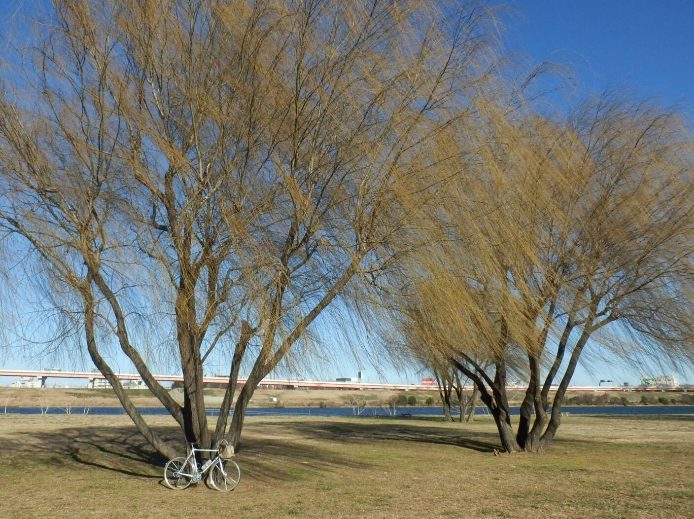 P1130010