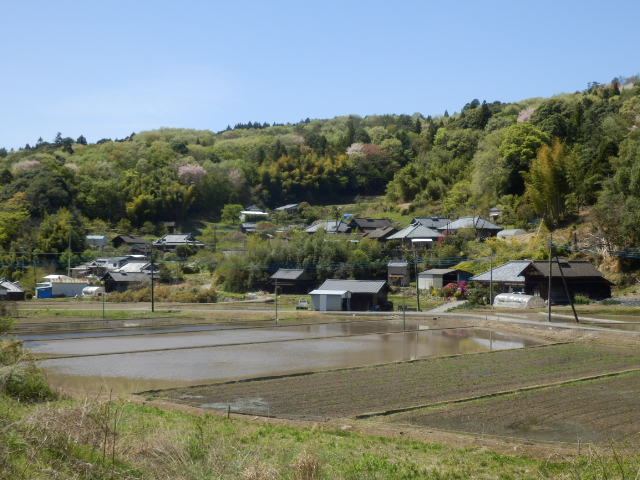 イメージ 25