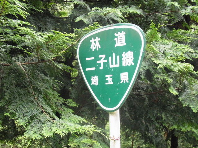 イメージ 10