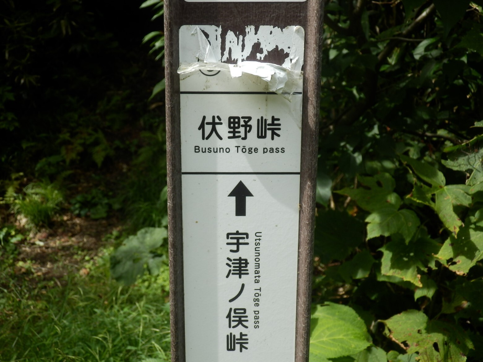 P9140074