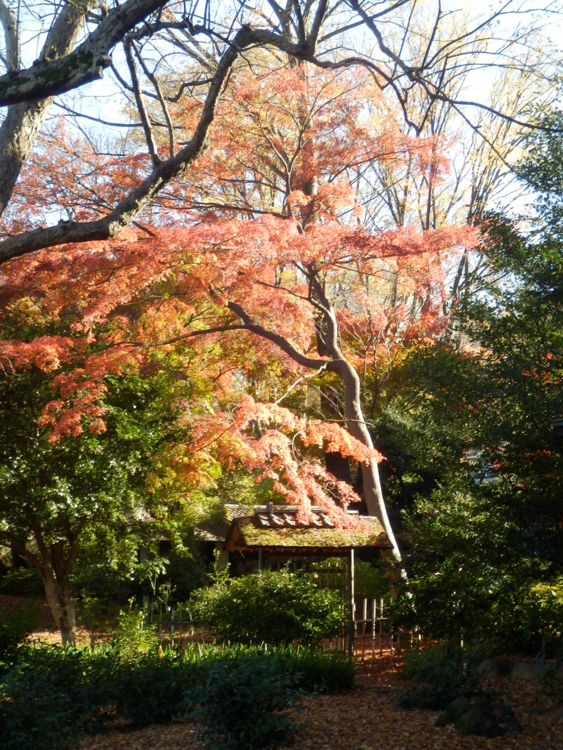 PC070009