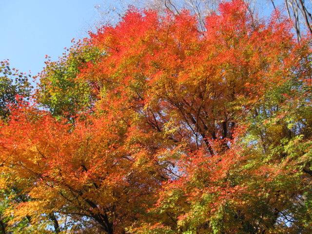 イメージ 3