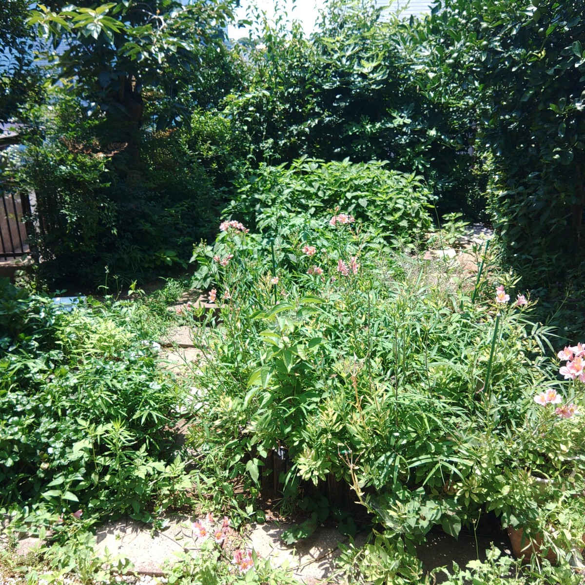 IMG-20260710-WA0012