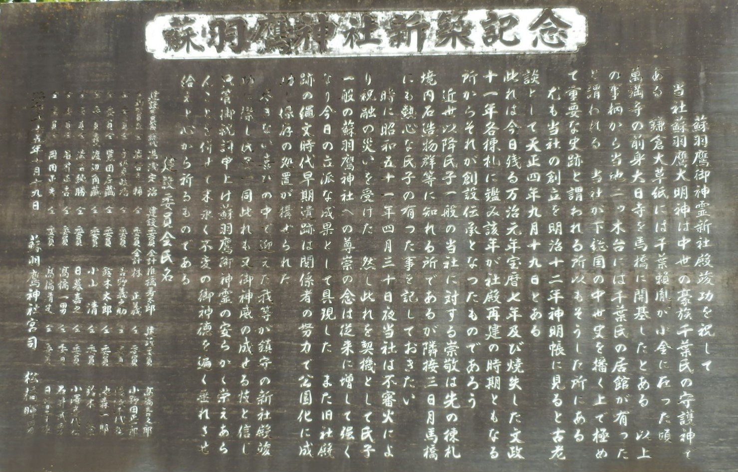 P5270033 (2)