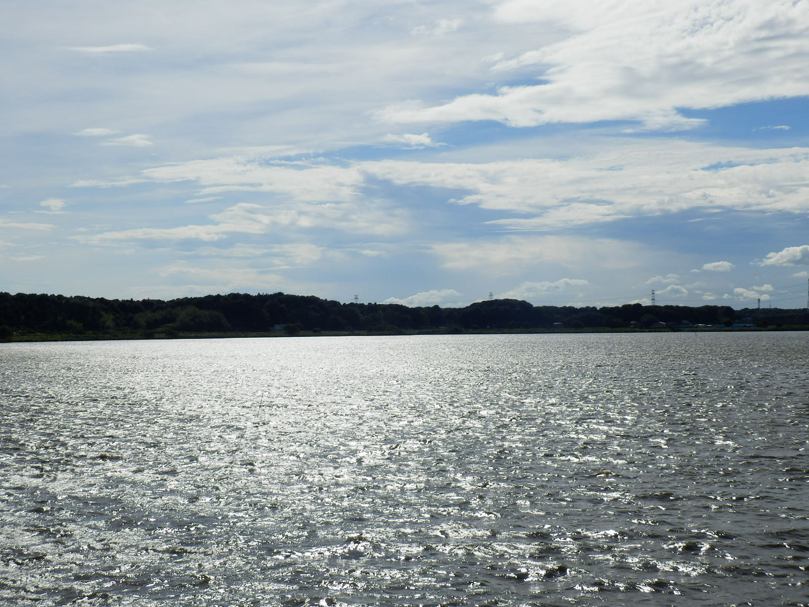 PA040053