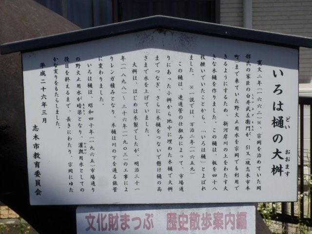 イメージ 7
