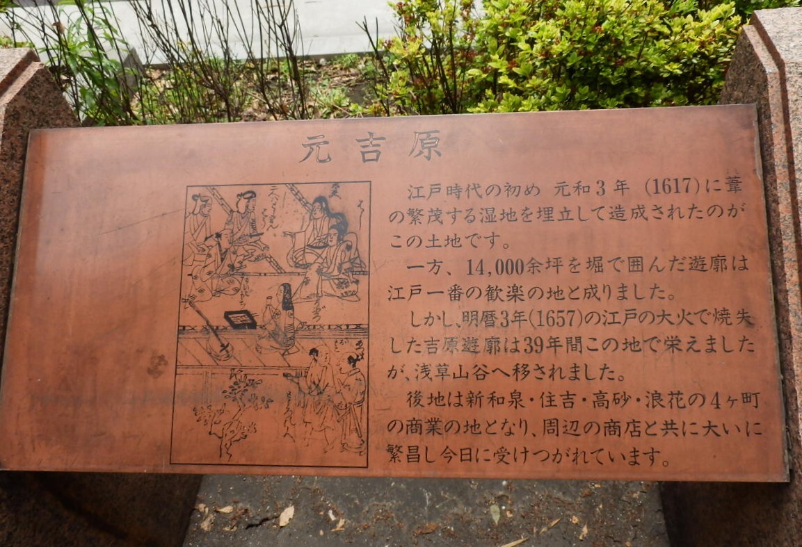 P5030049