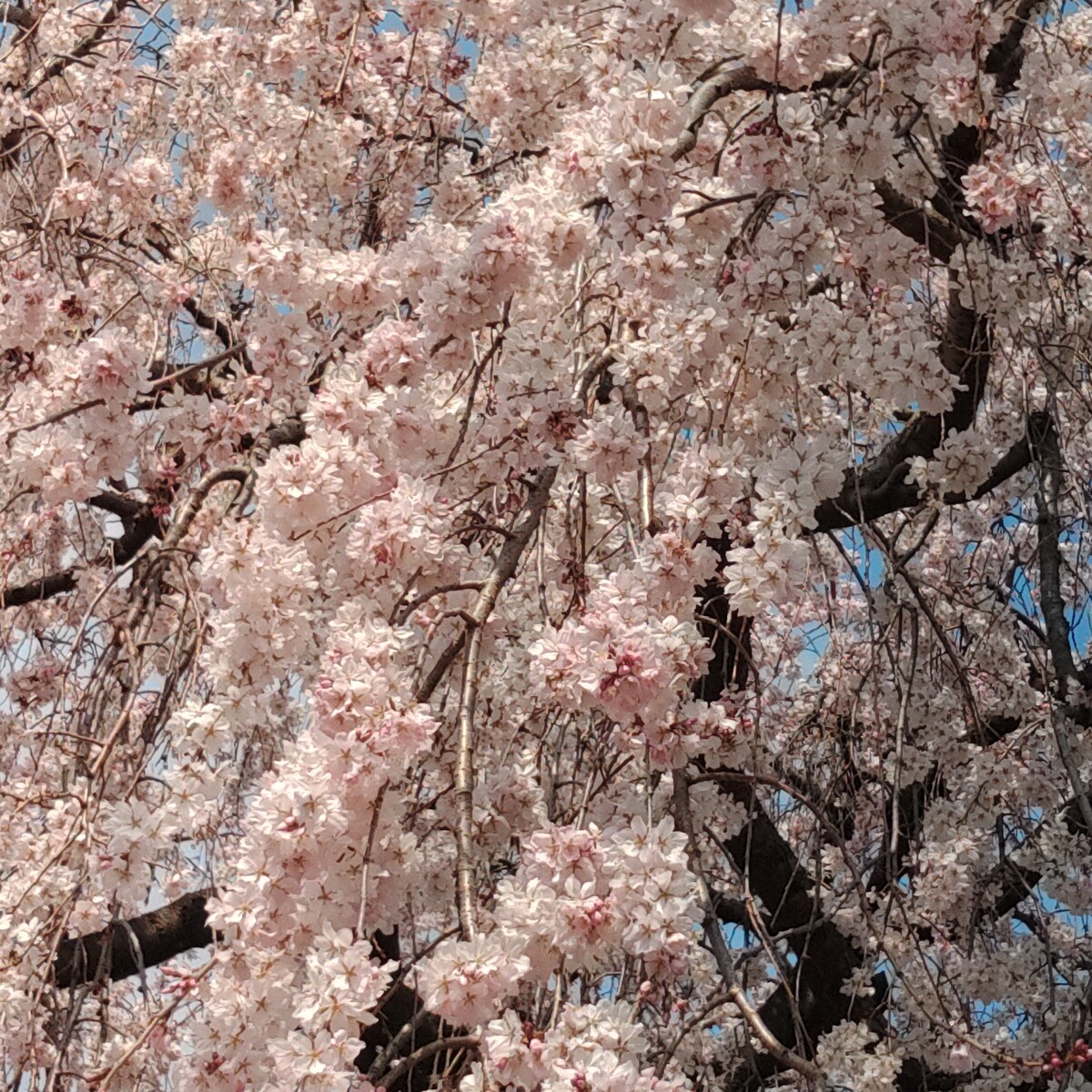 KIMG6829_02_BURST1006829