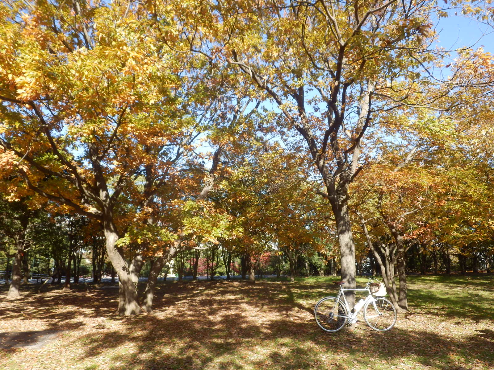 PC030013