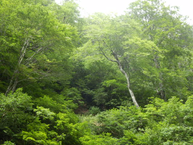 イメージ 28