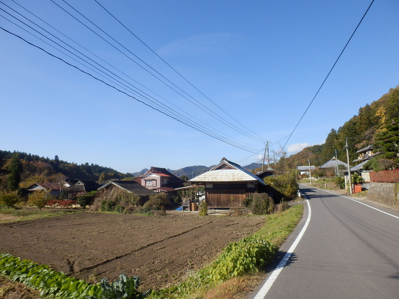 イメージ 10