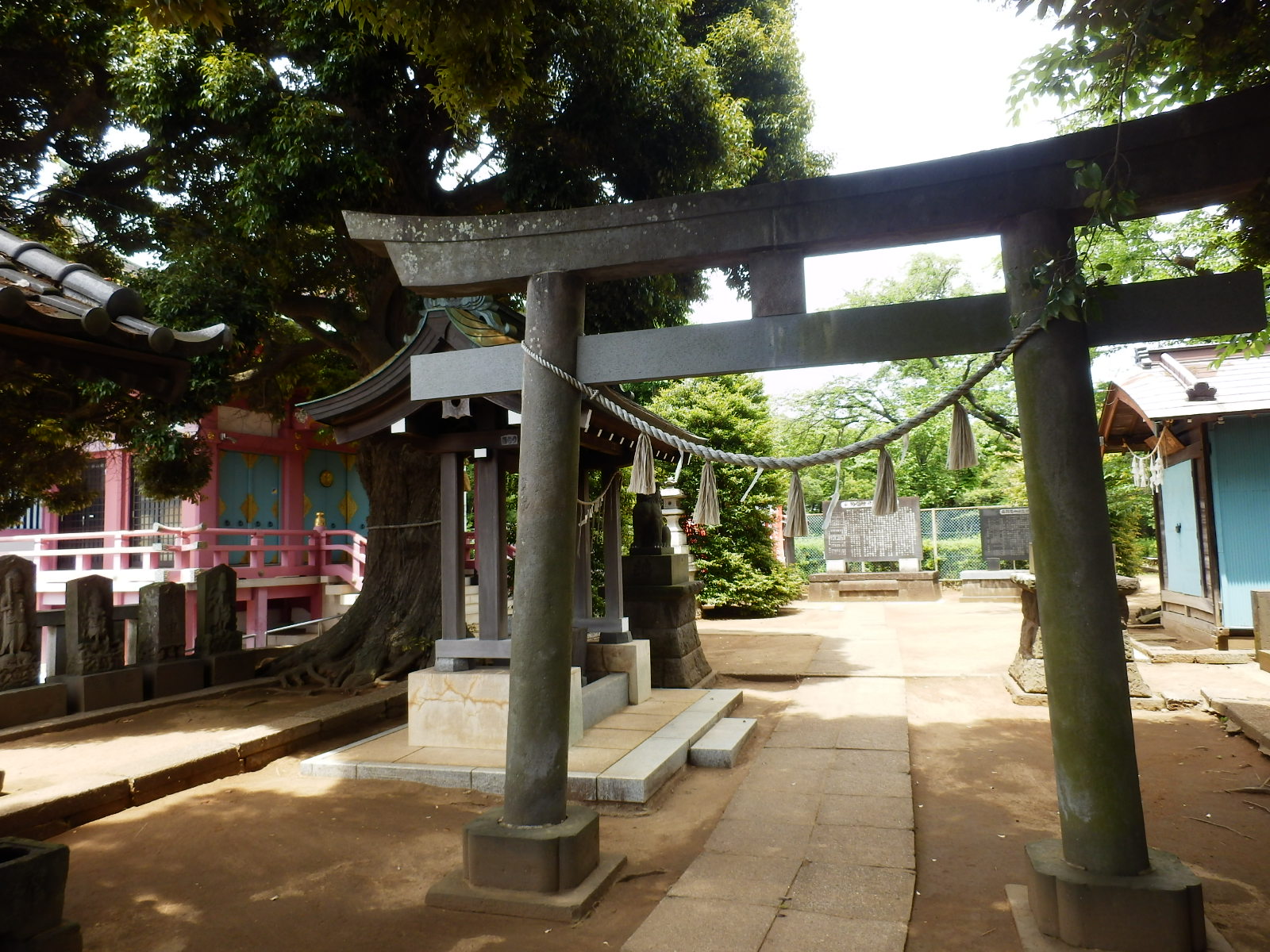 P5270038