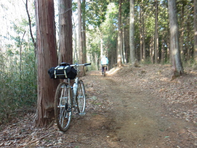 イメージ 10