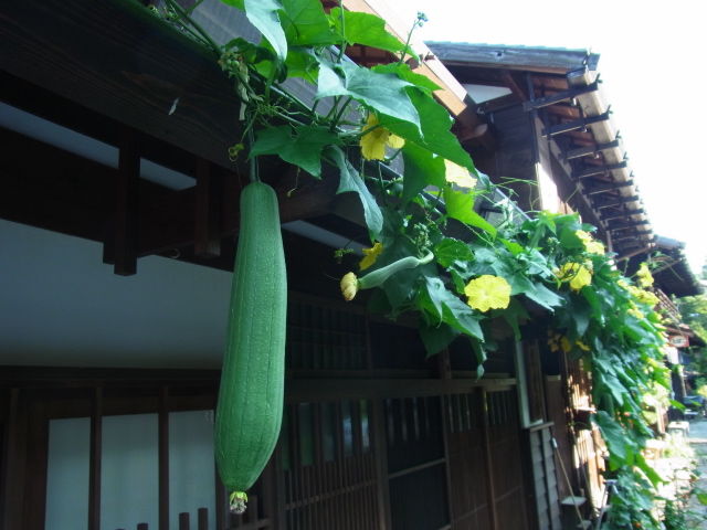 イメージ 11
