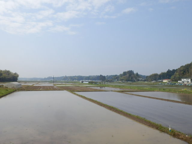 イメージ 1