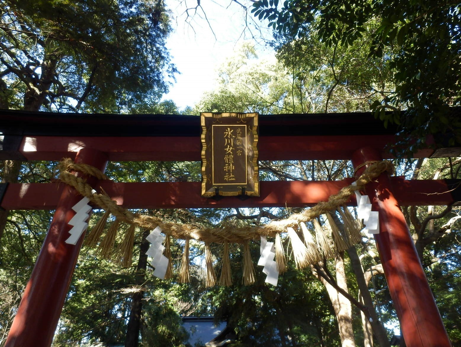 P1130001