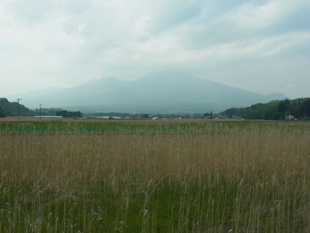 イメージ 28