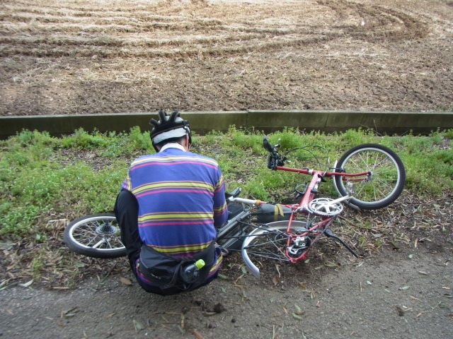 イメージ 15