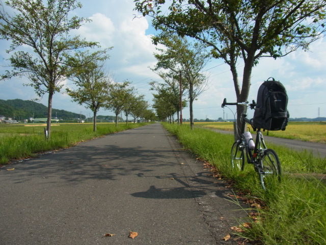 イメージ 23