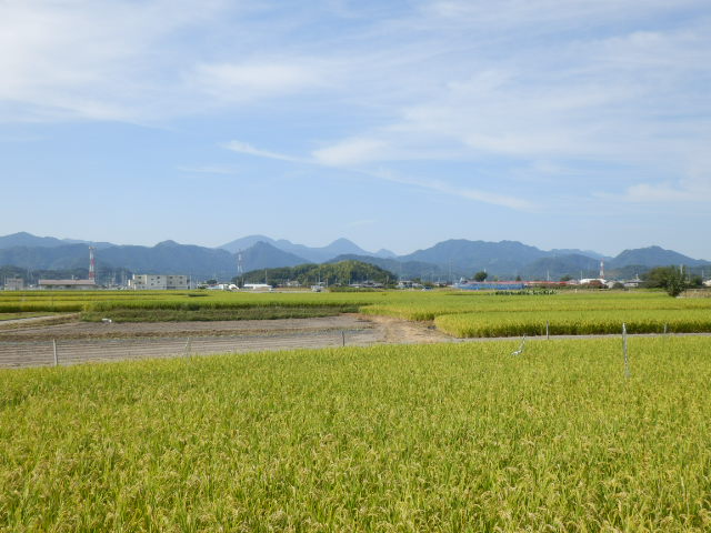 イメージ 4
