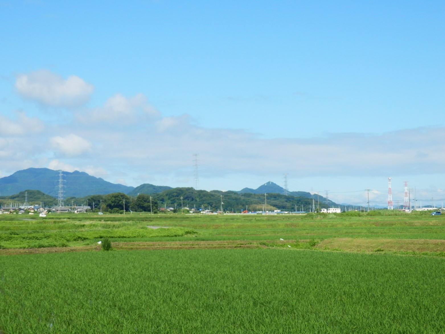 P7060004