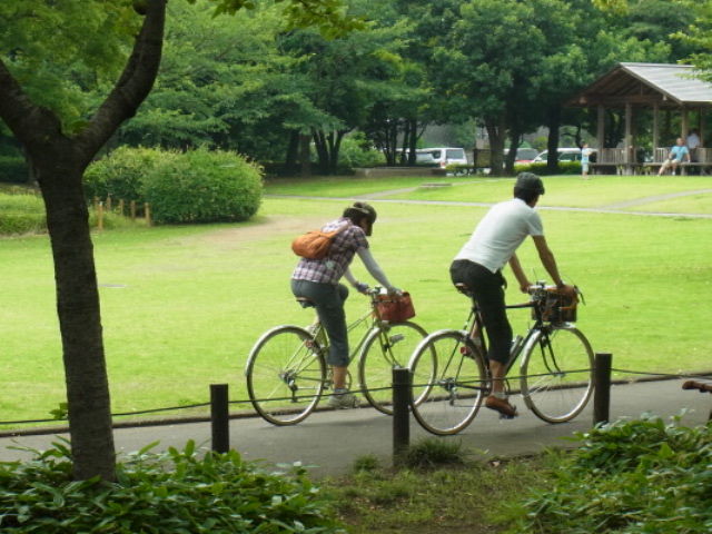 イメージ 10