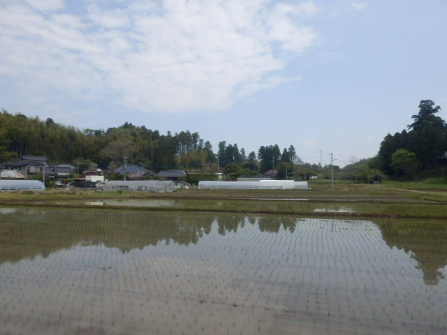 イメージ 18