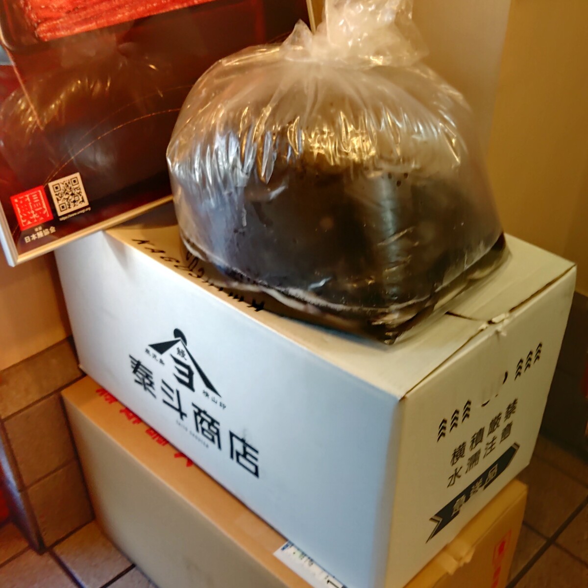 KIMG7525
