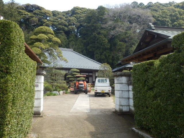 イメージ 6