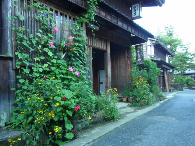 イメージ 7