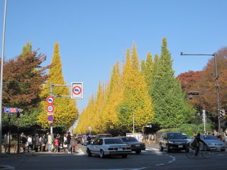 イメージ 14