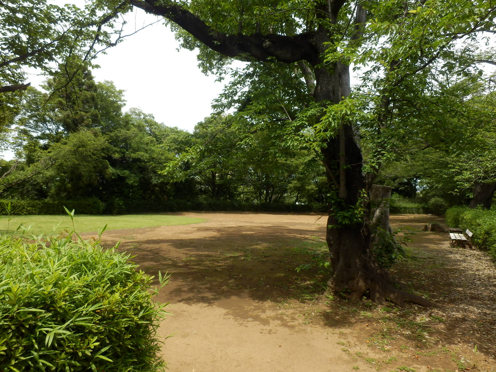P5270035
