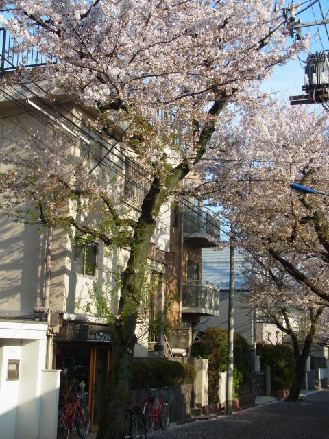 イメージ 21