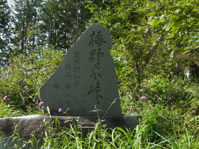 イメージ 23
