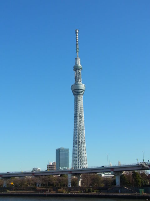 イメージ 15